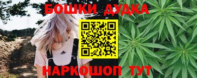 стаф Кандалакша