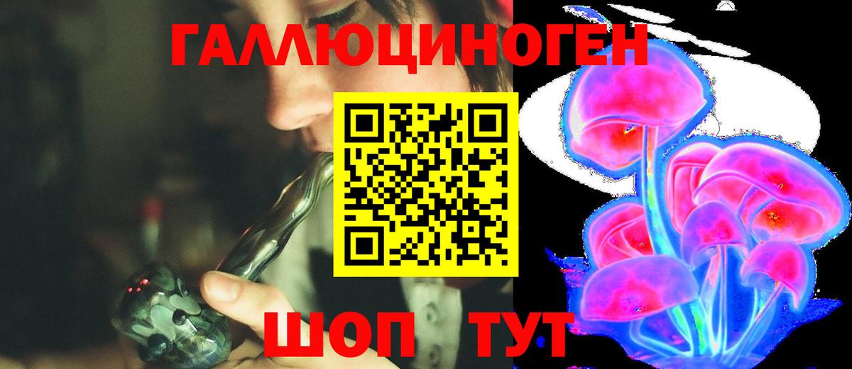 Псилоцибиновые грибы Psilocybe  Вход с VPN  Видное 